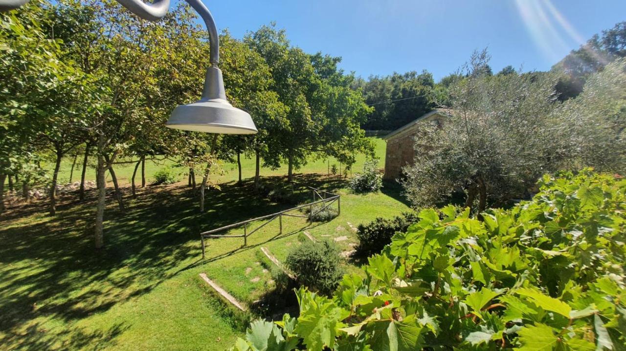 Bed and Breakfast Al Noceto Countryside Busso Exterior foto